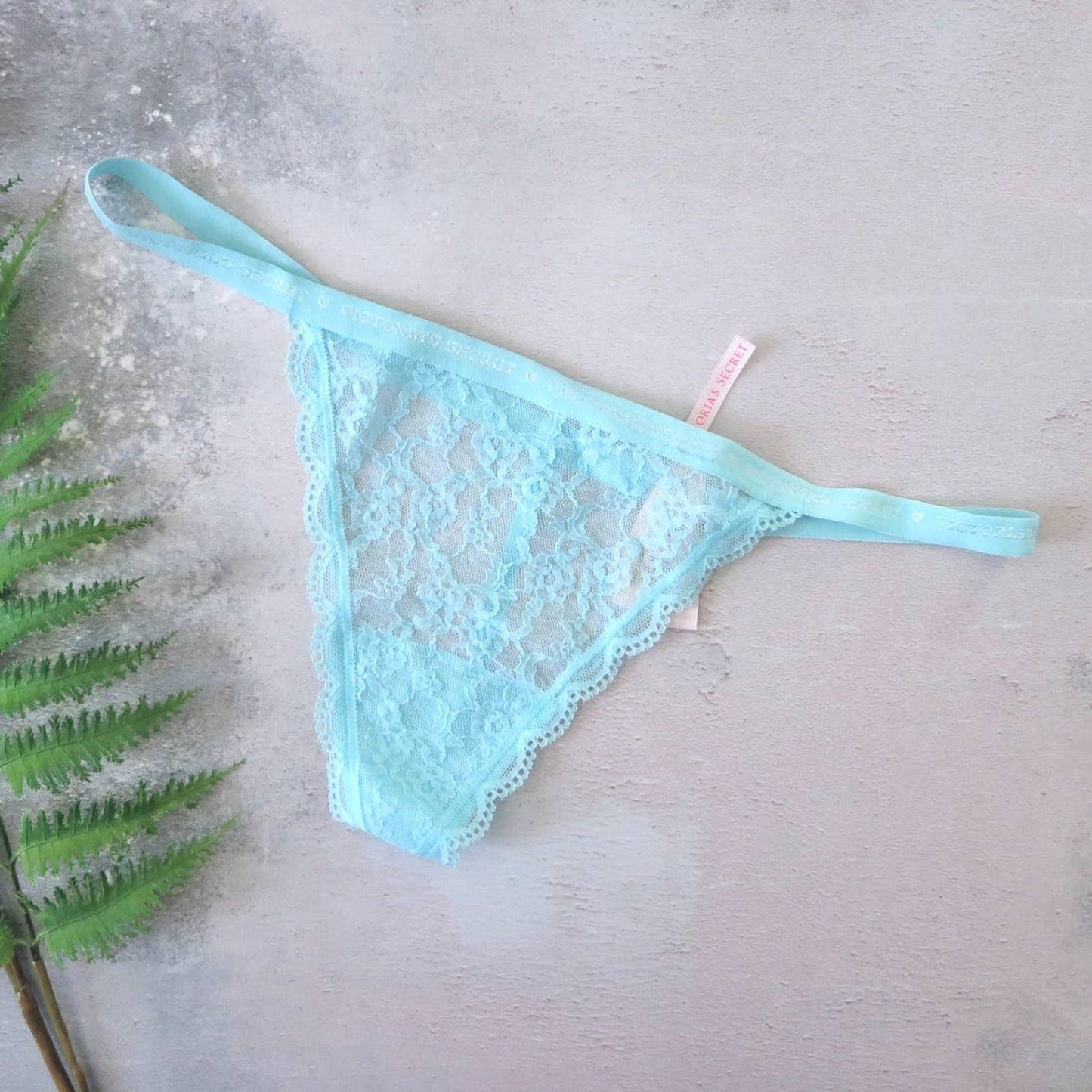 NWT Victoria's Secret Ice Blue Nylon Lace V String Panties M