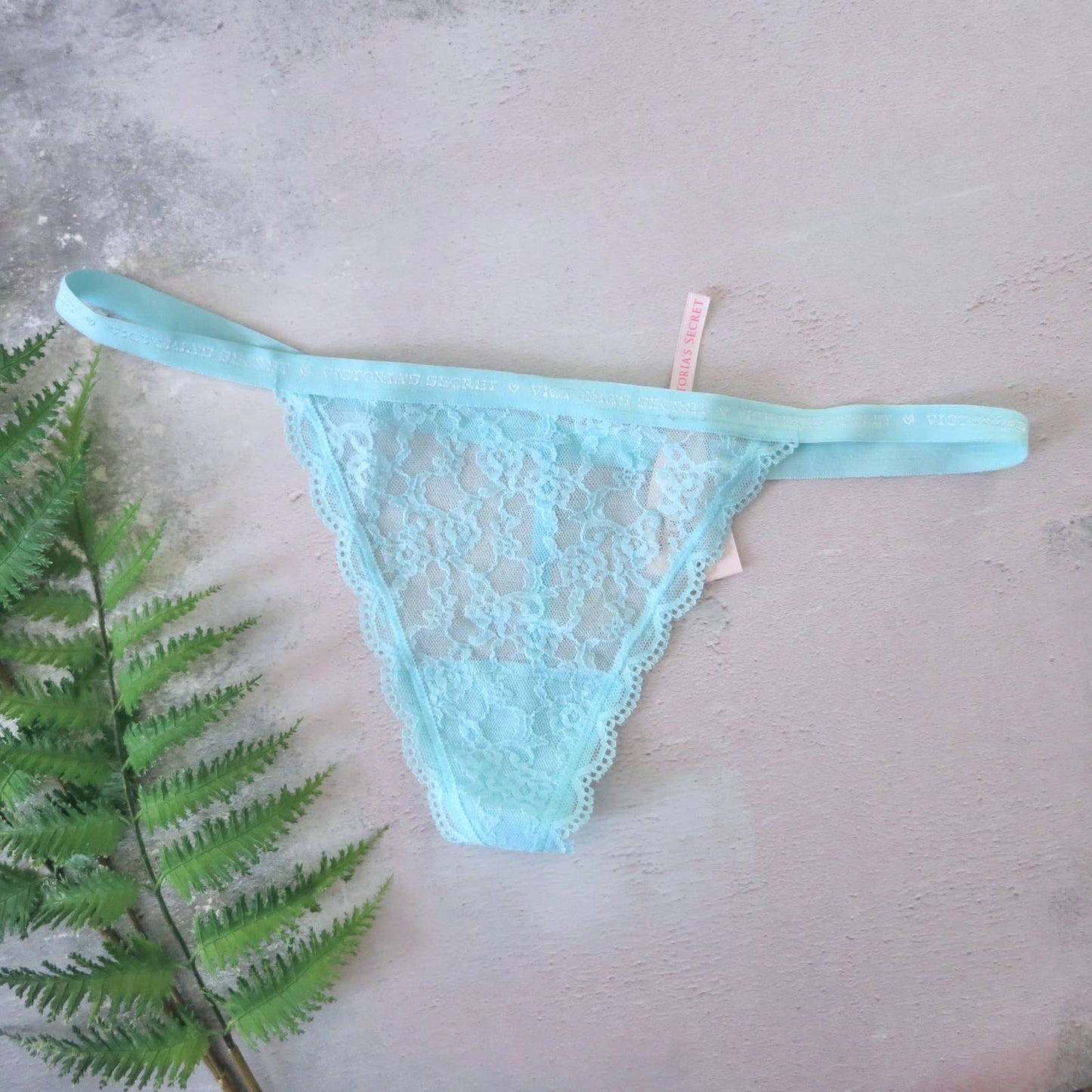 NWT Victoria's Secret Ice Blue Nylon Lace V String Panties M