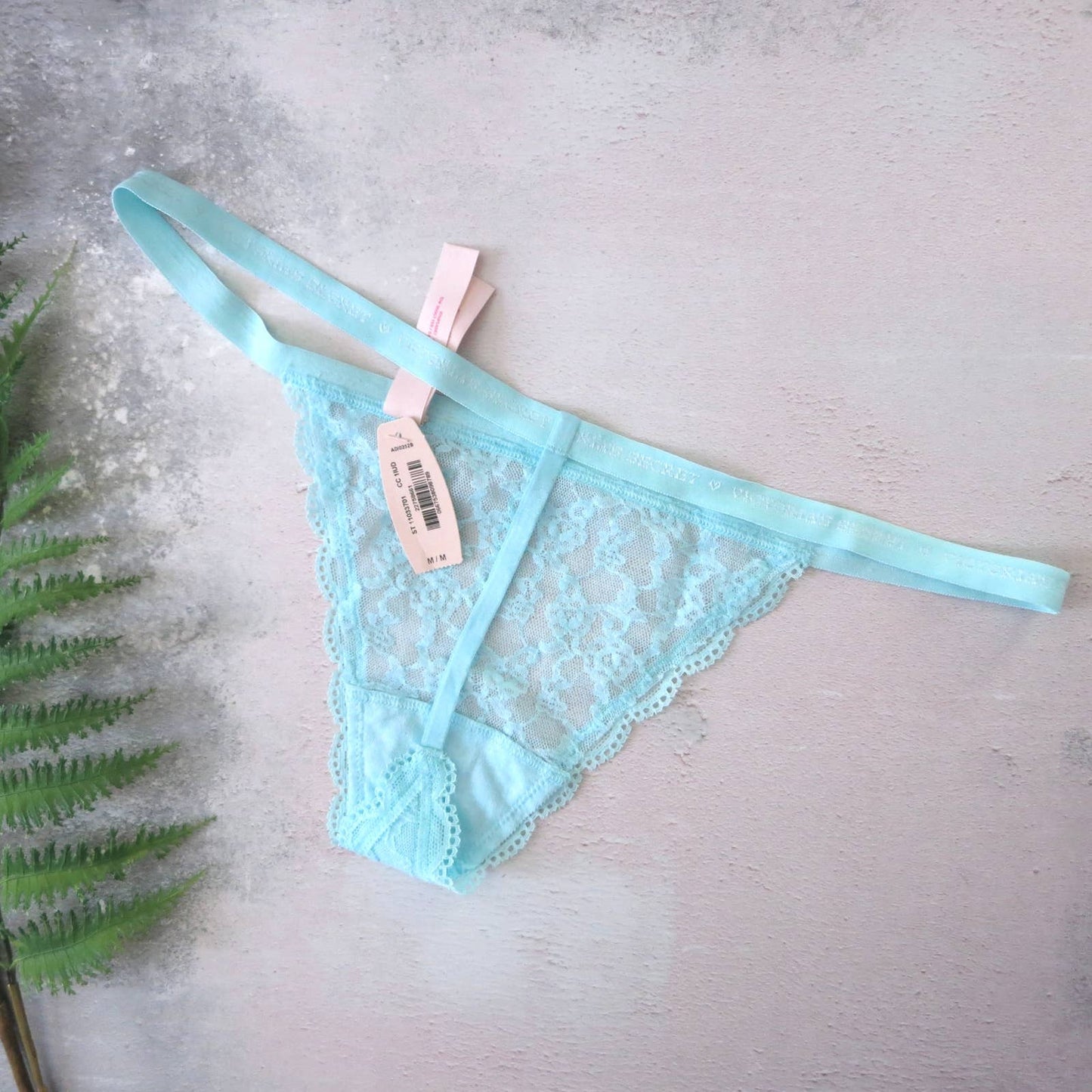 NWT Victoria's Secret Ice Blue Nylon Lace V String Panties M